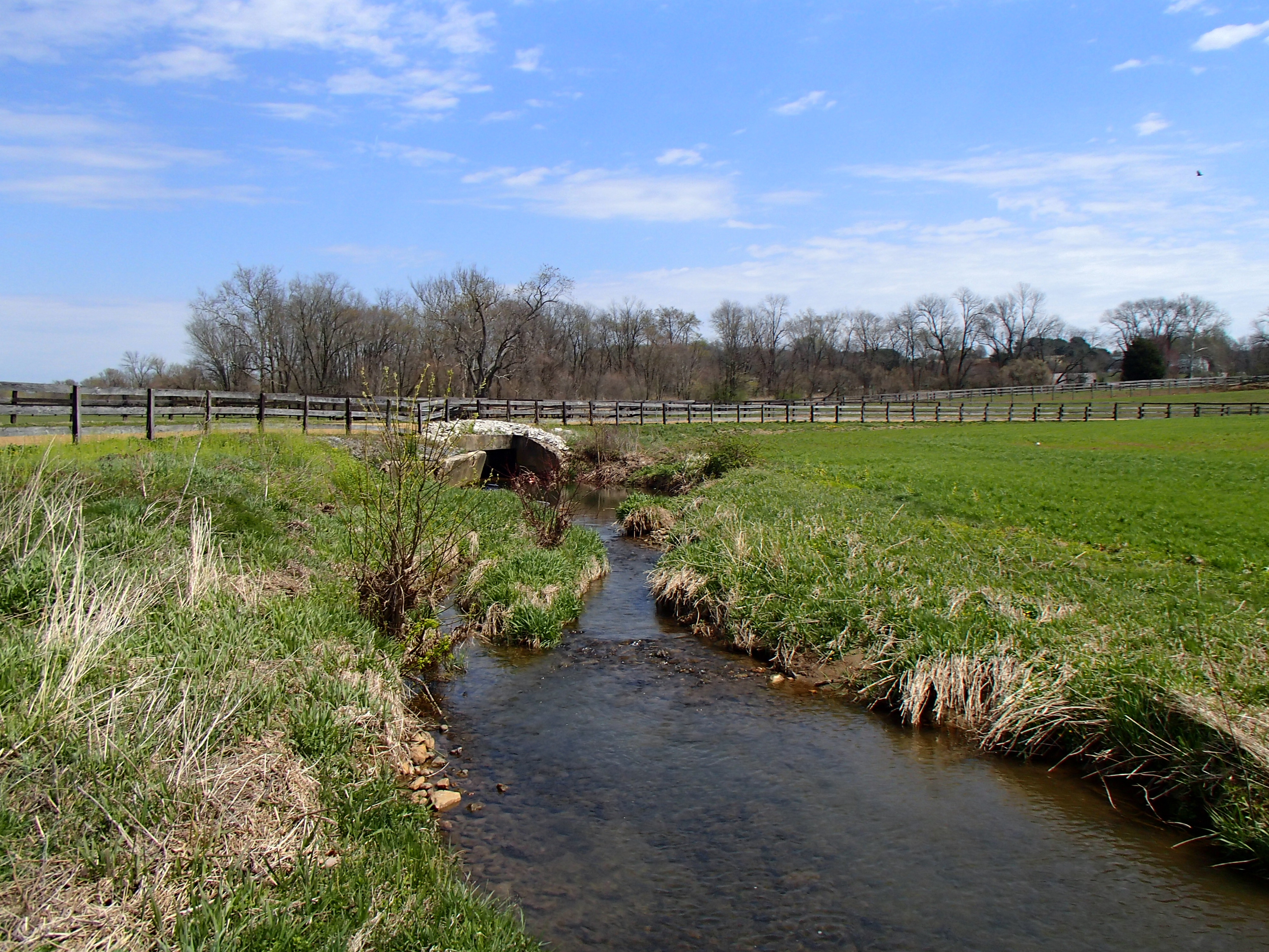 Field photo showing stream conditions at site LOGU-211-R-2016_Midpoint looking upstream